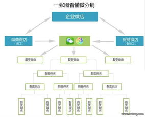 虾米盒子软件系统开发与技术服务详解