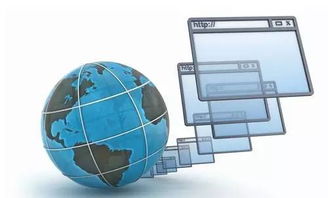 管理软件公司与互联网公司的区别 聚焦软件与网络技术服务